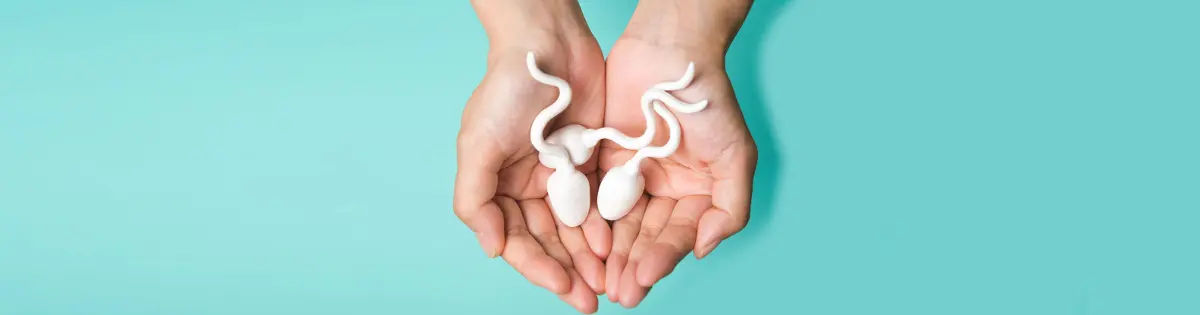 Тест за мъжка репродуктивна система
